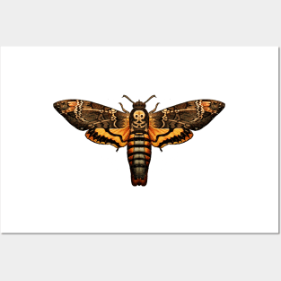 Deaths Head Hawk Moth Posters and Art